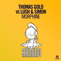 THOMAS GOLD VS. LUSH & SIMON