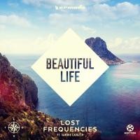 LOST FREQUENCIES ft. SANDRO CAVAZZA
