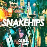 SNAKEHIPS ft. ZAYN