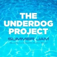 THE UNDERDOG PROJECT