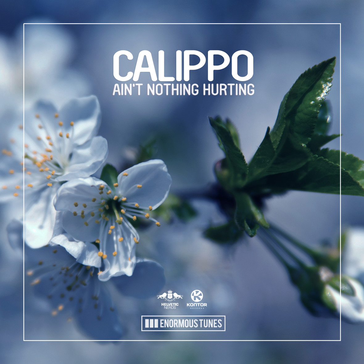 CALIPPO – Ain’t Nothing Hurting