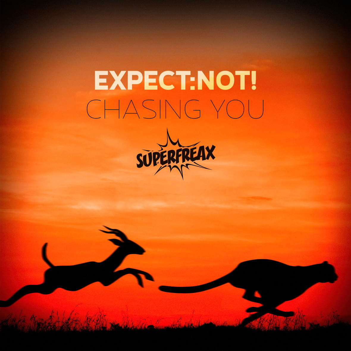 EXPECT:NOT! – Chasing You