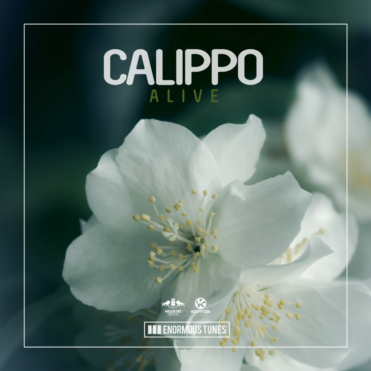 CALIPPO – Alive