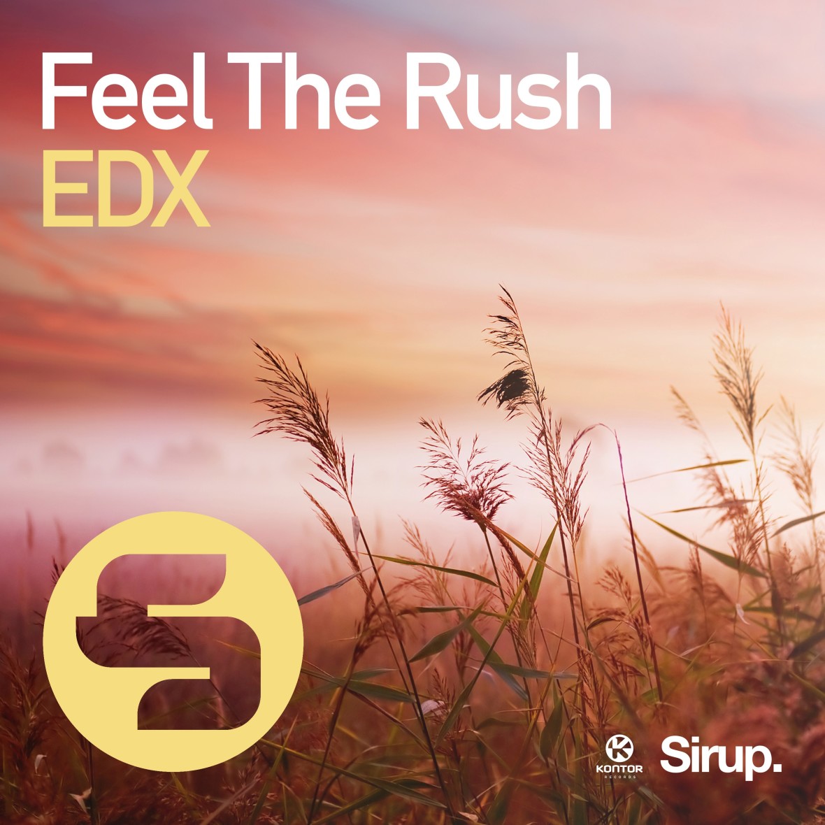 EDX – Feel the Rush
