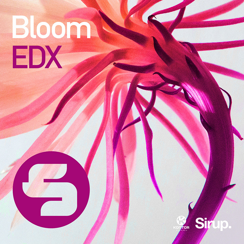 EDX – Bloom