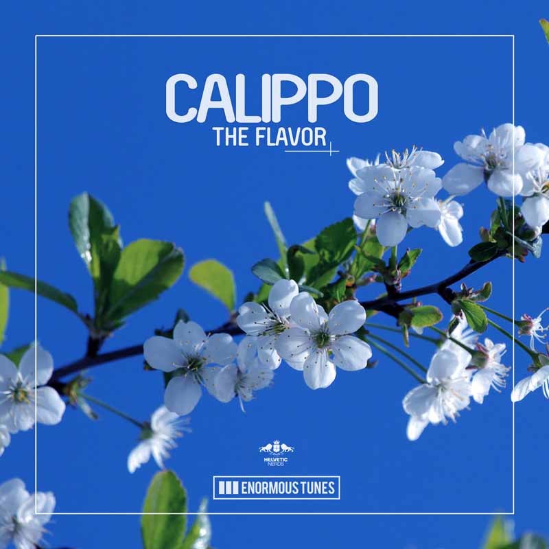 CALIPPO – The Flavor
