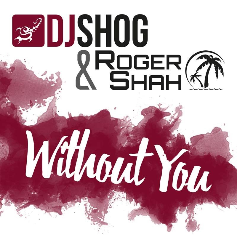 DJ SHOG & ROGER SHAH – Without You