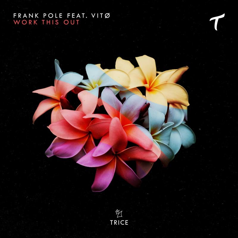 FRANK POLE & VITØ – Work This Out