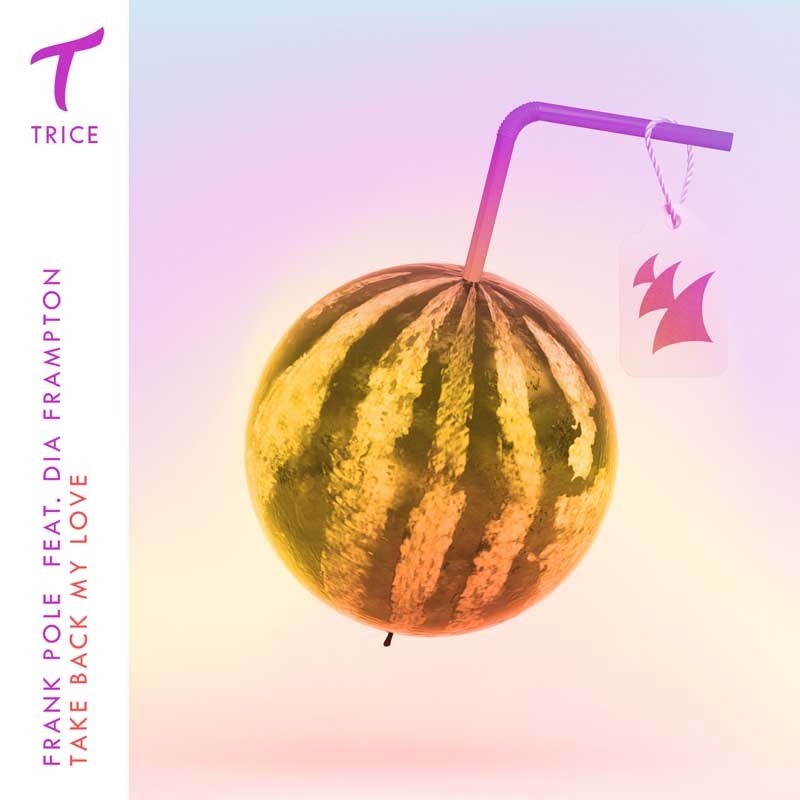FRANK POLE ft. DIA FRAMPTON  – Take Back My Love