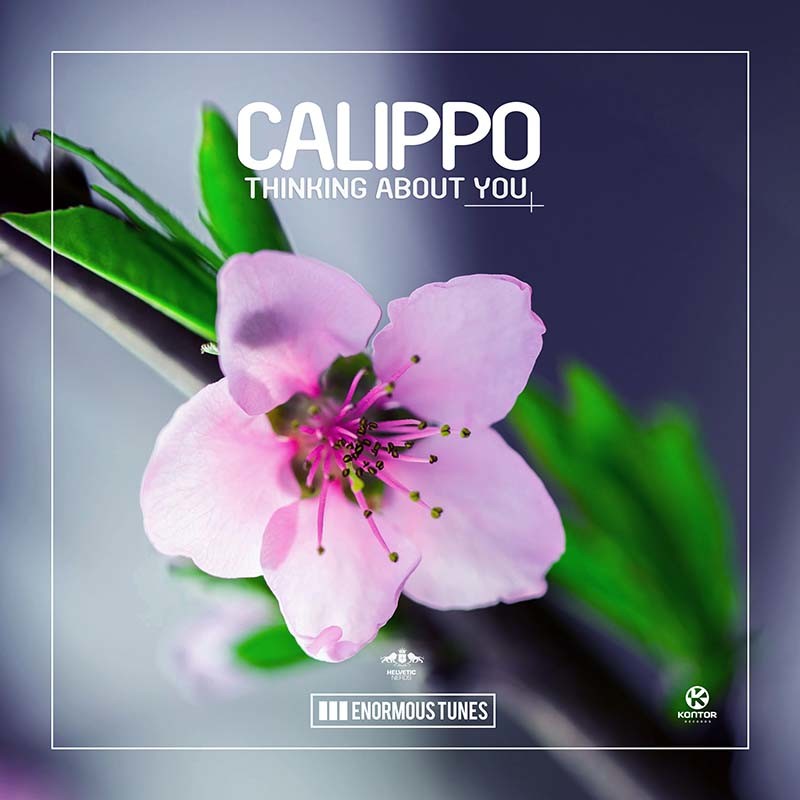 CALIPPO  – Thinking About You
