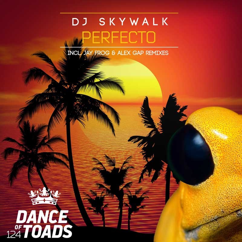 DJ SKYWALK – Perfecto