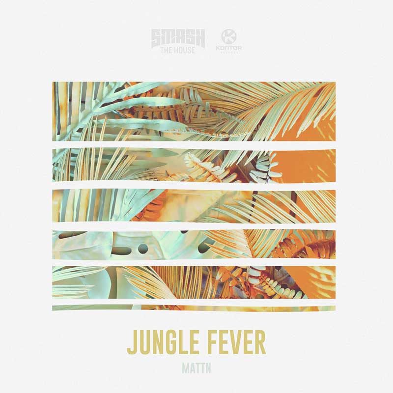 MATTN  – Jungle Fever