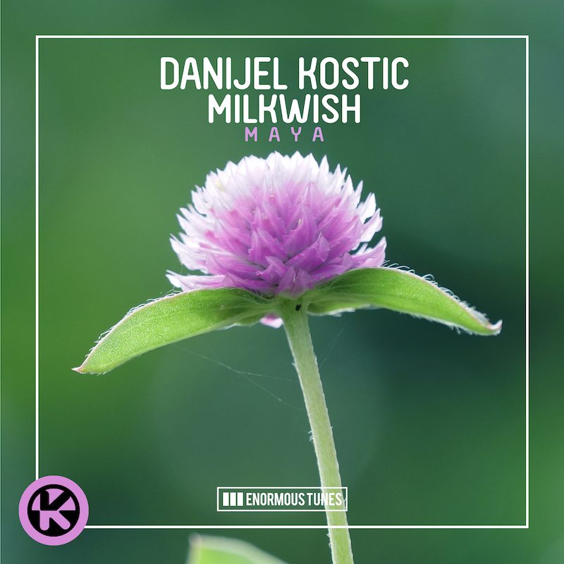 DANIJEL KOSTIC & MILKWISH  – Maya