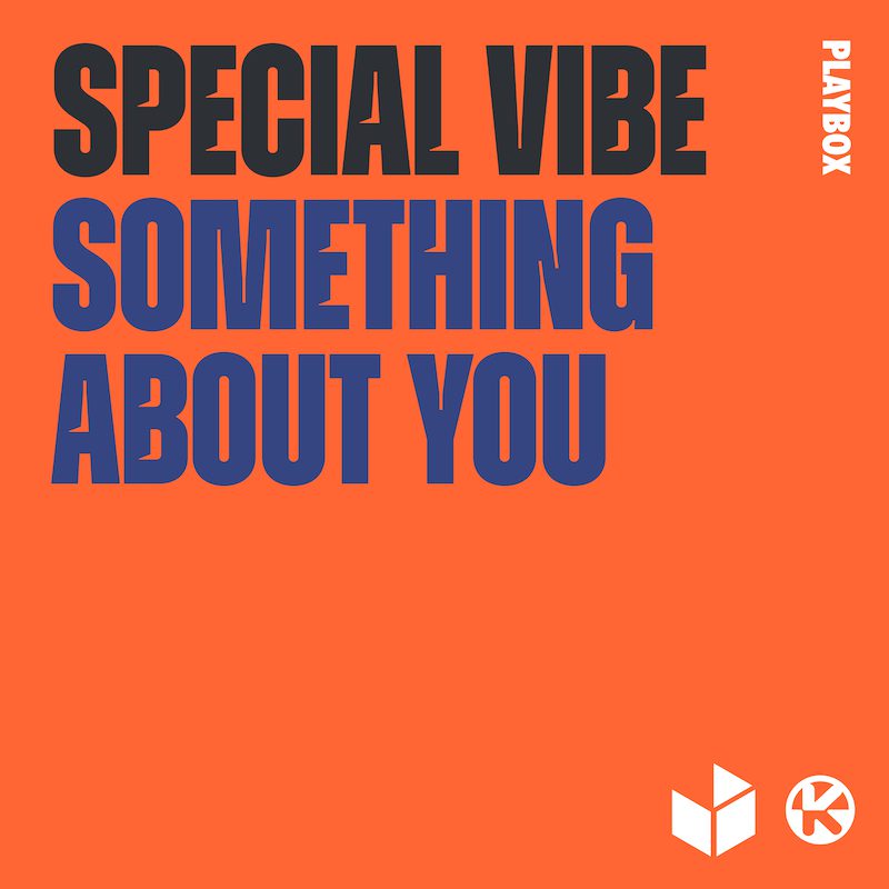 SPECIAL VIBE – Something About You