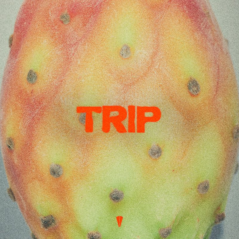 KONSTANTIN KOBRA – Trip